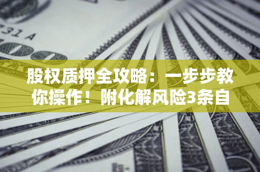 济南股权质押全攻略：一步步教你操作！附化解风险3条自救法则