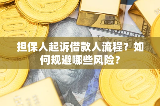 济南担保人起诉借款人流程？如何规避哪些风险？