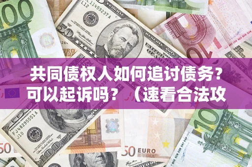 济南共同债权人如何追讨债务？可以起诉吗？（速看合法攻略）